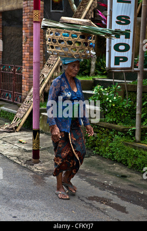 Woman bearing a wicker basket on her head, Sulawesi, Java, Bali, South Pacific, Indonesia, Southeast Asia, Asia. Stock Photo