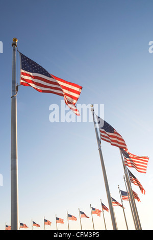 USA, Washington DC, low angle view on american flags Stock Photo