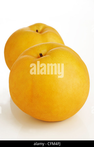 snow pear on white background Stock Photo