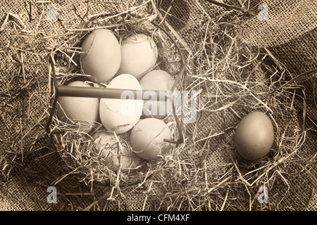 Eggs in a basket with straw on a jute sack Stock Photo