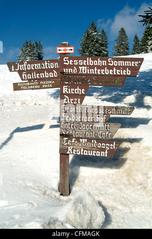 Winter at Feldberg, Black Forest, Baden-Wurttemberg, Germany, Europe