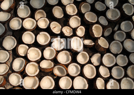 Copra, dried coconut Kernel Stock Photo