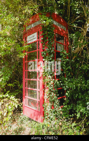 Overgrown telephone box, England, United Kingdom, Europe Stock Photo