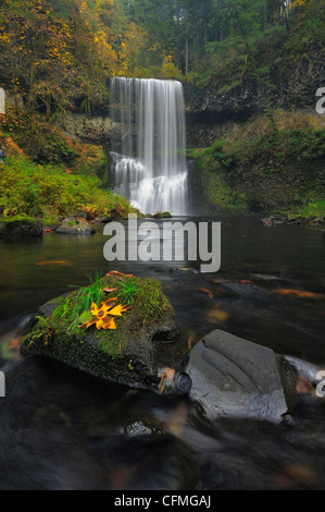 USA, Oregon, Marion County, View of Lower South Falls Stock Photo