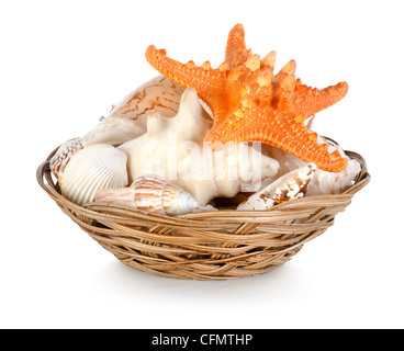 Collection of seashells isolated on white background Stock Photo