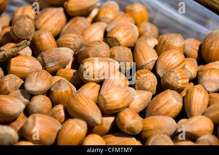 Horizontal close up of a basket full of fresh unshelled almonds in the sunshine. Stock Photo