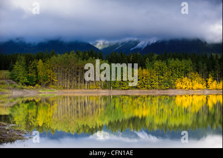 Wedge Pond reflects the brilliant fall foliage. The pond is located in the Kananaskis valley in Alberta, Canada. Stock Photo