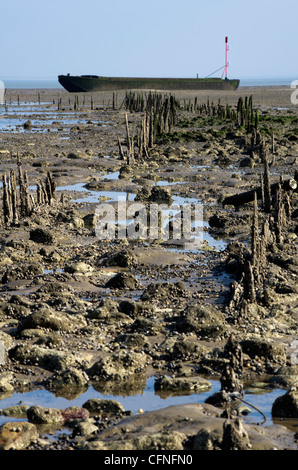 One of the barges moored at Bradwell on Sea Stock Photo