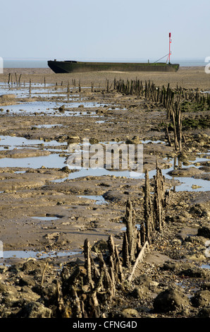 One of the barges moored at Bradwell on Sea Stock Photo