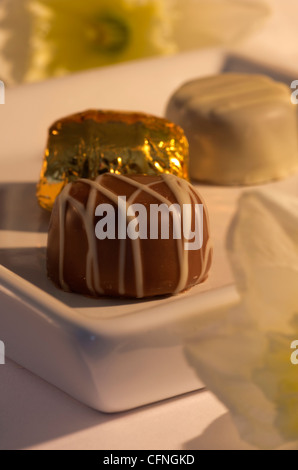 Three chocolates on a plate Stock Photo