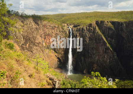 Wallaman Falls, Australia's highest waterfalls, Queensland, Australia, Pacific Stock Photo