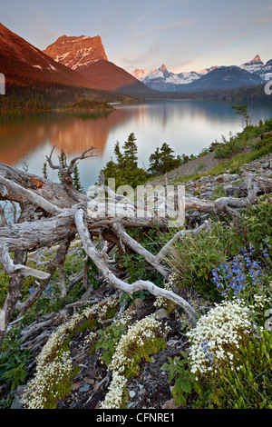Dusty Star Mountain, Montana, United States of America, North America Stock Photo