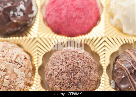 Closeup of chocolate truffles in a box of chocolates Stock Photo