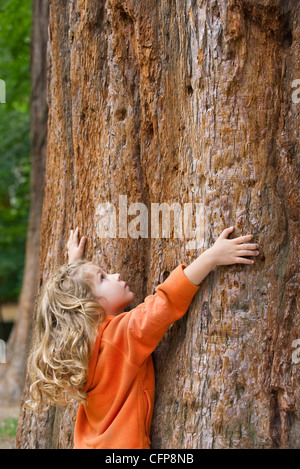 Little girl touching large tree trunk, looking up Stock Photo