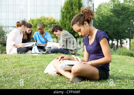 Young woman reading book on grass, group of young people in background Stock Photo
