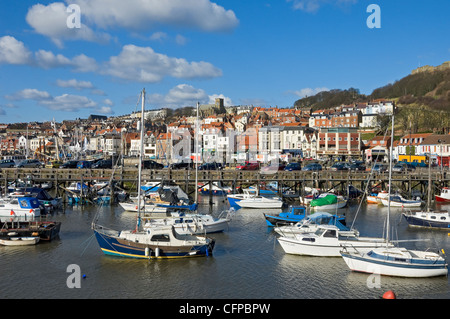 Boats boat yacht yachts moored Harbour on a sunny winters day Scarborough town seaside resort North Yorkshire England UK United Kingdom GB Great Brita Stock Photo