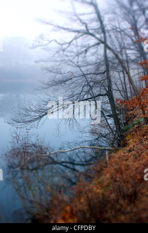 An early morning fog rises from a Connecticut USA pond. Nature concept