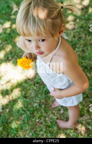 Download High-angle shot of cute little girl, wearing sunglasses ...