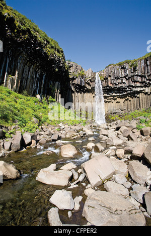 Svartifoss waterfall and basalt columns, Skaftafell National Park, Iceland Stock Photo