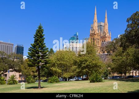 St. Mary's Cathedral viewed from The Domain, Central Business District, Sydney, New South Wales, Australia, Pacific Stock Photo
