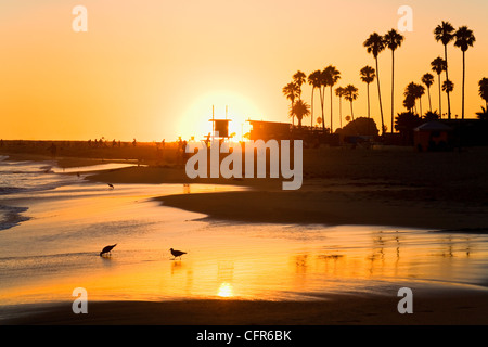 Sunset at Corona del Mar Beach, Newport Beach, Orange County, California, United States of America, North America Stock Photo