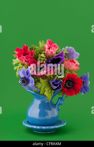 Little vase with colorful bouquet Anemones Stock Photo