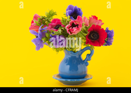 Little vase with colorful bouquet Anemones Stock Photo