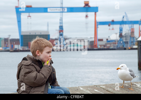 young boy sitting beside a sea gull on a quay wall at the harbour of Kiel, Schleswig-Holstein, Germany Stock Photo