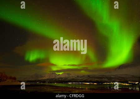 Aurora borealis or northern lights seen over the Lyngen Alps and Ullsfjord, Troms, North Norway, Europe Stock Photo