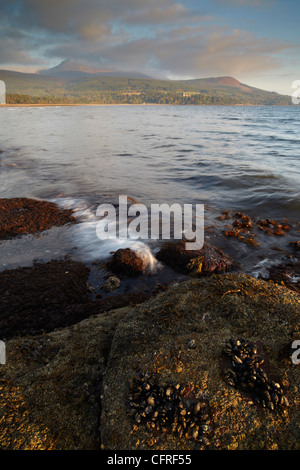 Looking across Brodick Bay, Isle of Arran, Scotland, United Kingdom, Europe Stock Photo