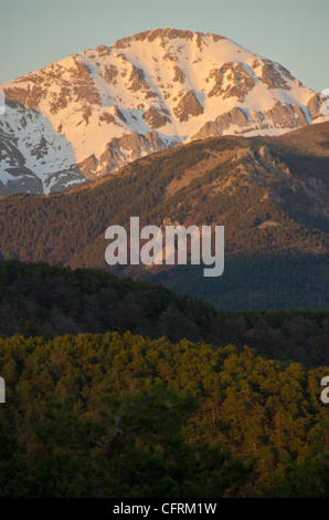 Forest in Anso Valley, Huesca Province in Aragon in Spain Stock Photo ...