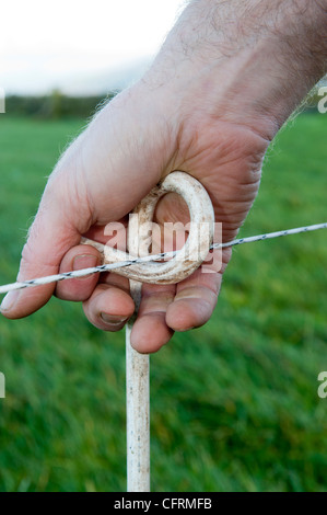 Farmer moving electric fence in pasture to control cattle grazing. Stock Photo