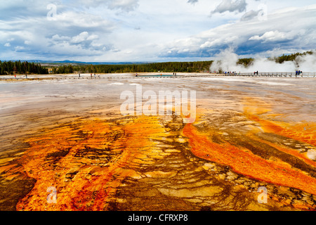 Midway Geyser Basin is actually part of the Lower Geyser Basin in Yellowstone National Park.  Since it is situated betweeen the Lower and Upper Geyser basins it became known as Midway.  During his visit to Yellowstone in 1889, Rudyard Kipling referred to this area as 'Hell's Half Acre'.    Midway contains one of the worlds largest hot springs, Grand Prismatic Spring, at approximately 370 ft. in diameter.  Other notable springs are Turqoise and Indigo Springs.  Aslo hear is Excelsior Geyser, that dischargres more than 4000 gallons of boiling water every minute. Stock Photo