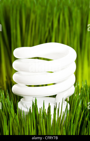 Compact Fluorescent Lightbulb and green grass Stock Photo