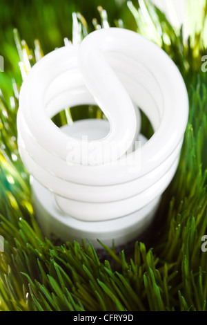 Compact Fluorescent Lightbulb and green grass Stock Photo