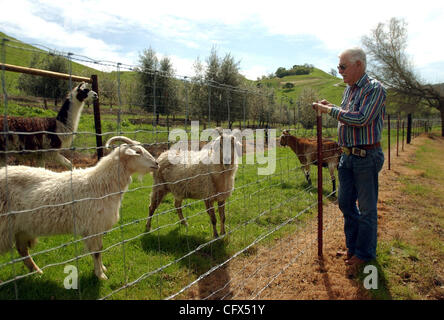 Owner of Alhambra Valley Farms Tom Powers keeps rescued sheep, goats and llamas on his vineyard and farm in an unincorporated area of Martinez, Calif., March 22, 2007. The animals eat the leaves that are home to the Light Brown Apple Moth larvae, letting Powers rest easy about the recent discovery o Stock Photo