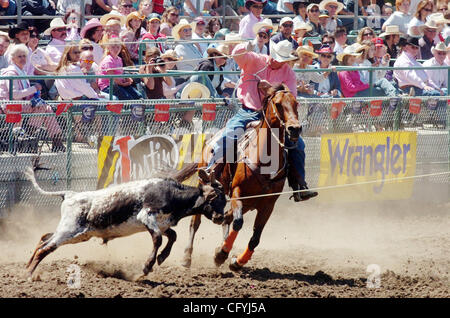 May 20, 2007 - Castro Valley, CA, USA - Spectators watch the team roping competition during the Rowell Ranch Rodeo. (Credit Image: © Sean Connelley/Oakland Tribune/ZUMA Press) RESTRICTIONS: USA Tabloid RIGHTS OUT! Stock Photo