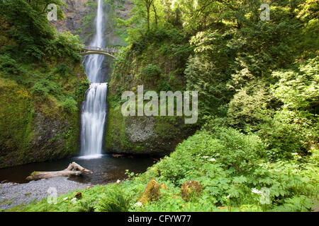 Jun 01, 2007 - Portland, Oregon, USA - Multnomah Falls. The gorge holds some of the region's most scenic vistas and leads to hundreds of wilderness areas and recreation destinations. The water of Multnomah Falls rushes just twenty minutes east of Troutdale. The Oregon side of the Columbia River Gorg Stock Photo