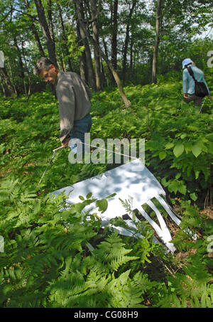 Forest Lake, Mn. Wednesday 6/13/2007 Lyme Disease and the continued spread of deer ticks throughout Minnesota. Health Department officials will show how they drag cloth through the woods to collect, count and assess deer ticks..In this picture: Minnesota Dept of Health  Epidemiologist Davis Neitzel  Stock Photo