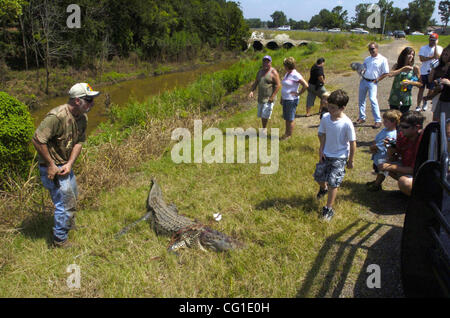 Aug 09, 2007 - Bossier City, LA, USA - A 9' 8' alligator was caught in Flat River in Bossier City. (Credit Image: © Jim Hudelson/The Shreveport Times/ZUMA Press) RESTRICTIONS: No Mags No Sales Stock Photo
