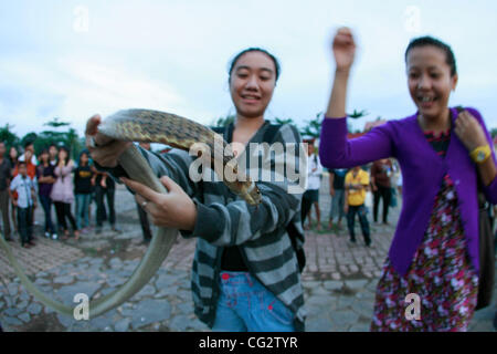 Oct. 25, 2011 - Bintan, Sumatra, Indonesia - PETRISIA ZAHRA and IGHA ANJANI SEHA (R) playing with a deadly King Cobra. Indonesia as a tropical country has the richest country in different types of insects. This King Cobra was captured two weeks ago in the forest. (Credit Image: © Yuli Seperi/ZUMAPRE Stock Photo