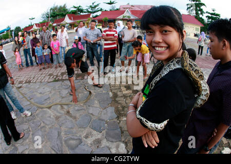 25, 2011 - Bintan, Sumatra, Indonesia - Chazanatul Imani looked King Cobra on October 25, 2011 Bintan, Indonesia. Indonesia as a tropical country as the richest country in the types of insects. King Cobra was arrested two weeks ago in the forest(Credit Image: © Yuli Seperi/ZUMAPRESS.com) Stock Photo