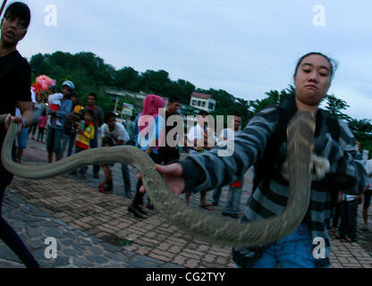 October 25, 2011 - Bintan, Sumatra, Indonesia - Petrisia Zahra (right), Chazanatul Imani (left) playing with King Cobra on October 25, 2011 Bintan, Indonesia. Indonesia as a tropical country as the richest country in the types of insects. King Cobra was arrested two weeks ago in the forest(Credit Im Stock Photo