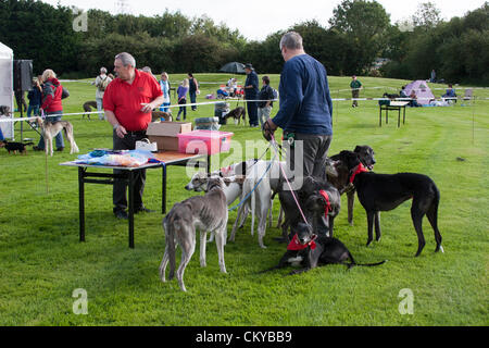 2nd September 2012. Northants Greyhound Rescue Gala Day. At the Holiday Inn. Crick.  Northamptonshire UK. NGR is a Registered Charity  and was established in 2000 to provide a rescue, rehabilitation and rehoming service to retired, abandoned and unwanted greyhounds in the Northamptonshire area. Stock Photo