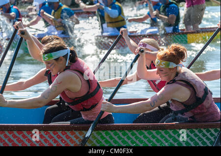 CAmbridge, UK. 8th September 2012. Competitors enjoy the late summer weather at the Cambridge Dragon Boat Festival,  on the River Cam at Fen Ditton Cambridge UK, 8th September 2012.  Around 50 crews from local organisations took part in the races paddling the 30 foot long Chinese dragon boats to raise money for the East Anglian Children's Hospices. Credit:  Julian Eales / Alamy Live News Stock Photo