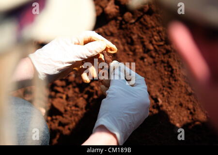 Soweto, South Africa. 11th September 2012. Bones believed to be those of Nceba Sinuma being exhumed on September 11, 2012 at Avalon Cemetery in Soweto, South Africa. Sinuma was one of the “Mofolo 3” who were killed by apartheid agents in a security operation in 1989. The Mofolo 3 were members of the Soweto Youth Congress and were involved in underground uMkhonto weSizwe activities. The body exhumed will be sent for DNA testing. (Photo by Gallo Images / Sowetan / Vathiswa Ruselo/Alamy Live News) Stock Photo