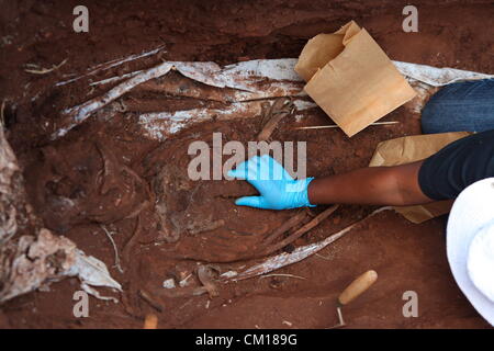 Soweto, South Africa. 11th September 2012. Bones believed to be those of Nceba Sinuma being exhumed on September 11, 2012 at Avalon Cemetery in Soweto, South Africa. Sinuma was one of the “Mofolo 3” who were killed by apartheid agents in a security operation in 1989. The Mofolo 3 were members of the Soweto Youth Congress and were involved in underground uMkhonto weSizwe activities. The body exhumed will be sent for DNA testing. (Photo by Gallo Images / Sowetan / Vathiswa Ruselo/Alamy Live News) Stock Photo