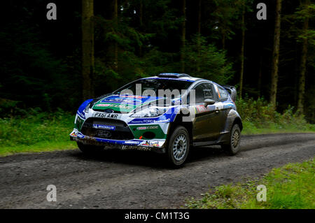 15.09.2012 Powys, Wales. Rally leader Jari-Matti Latvala (FIN) and Co-Driver Mikka Anttila (FIN) in the #3 Ford World Rally Team Ford Fiesta RS WRC in action on the second pass of the Crychan stage (SS10) during Day 2 of Wales Rally GB, Round 10 of the FIA Word Rally Championship. Stock Photo