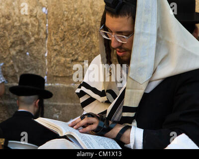 A religious Jewish man prays at the Western Wall covered with a talit, a traditional Jewish prayer shawl and tefilin, phylacteries, on his forehead and left arm. Jerusalem, Israel. 16-September-2012.  Thousands pray at the Western Wall on the Eve of the Jewish New Year for the last time in the year 5772. According to the Jewish calendar the year 5773 and the Jewish High Holidays will begin tonight after sunset. Stock Photo