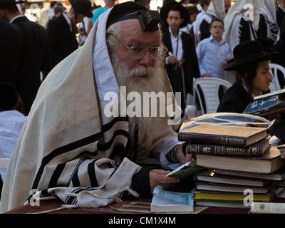 A bearded religious Jewish man prays at the Western Wall covered with a talit, a traditional Jewish prayer shawl and tefilin, phylacteries, on his forehead and left arm. Jerusalem, Israel. 16-September-2012.  Thousands pray at the Western Wall on the Eve of the Jewish New Year for the last time in the year 5772. According to the Jewish calendar the year 5773 and the Jewish High Holidays will begin tonight after sunset. Stock Photo